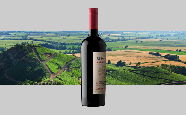 重慶紅酒批發(fā)市場