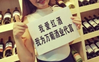 萬(wàn)葡酒業(yè)酒莊萬(wàn)葡國(guó)際重慶進(jìn)口紅酒批發(fā)中心