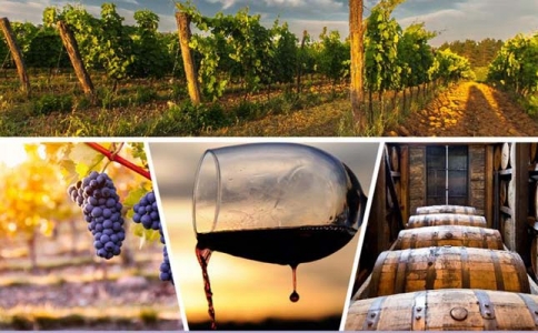 重慶保稅紅酒批發(fā)酒類批發(fā)團購公司企業(yè)在哪里