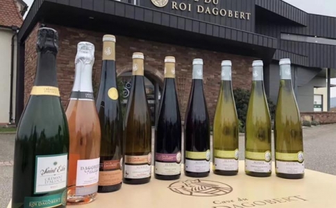 重慶紅酒廣場 賣葡萄酒的地方在哪里 寸灘保稅港