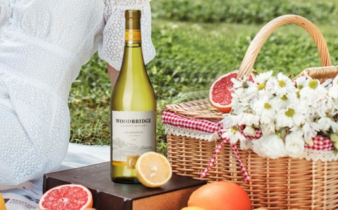 夏迪519西拉葡萄酒的價(jià)格 夏迪619酒窖赤霞珠