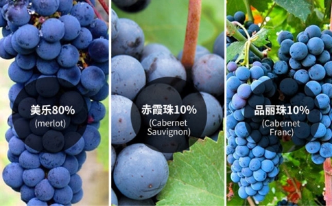 重慶葡萄酒產(chǎn)區(qū) 重慶進(jìn)口葡萄酒市場(chǎng) 紅酒酒莊旅游